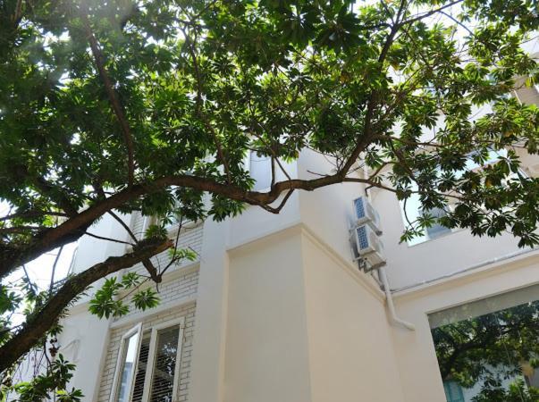 เลอ เปอตี ฮานอย โฮเต็ล Hotel ภายนอก รูปภาพ